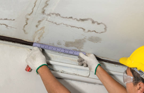Reliable Water Damage Repair contractor in Hopatcong, NJ by Hirex Water Damage
